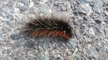 ファイル名: DCIM0111.jpg
ファイルサイズ: 20.7KB DCIM0111